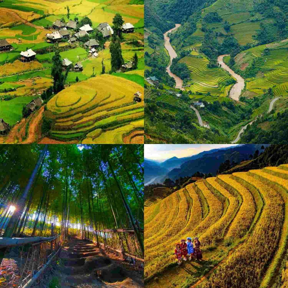 Mù Cang Chải mùa vàng: Những điểm đến cho một hành trình đẹp như thước phim
