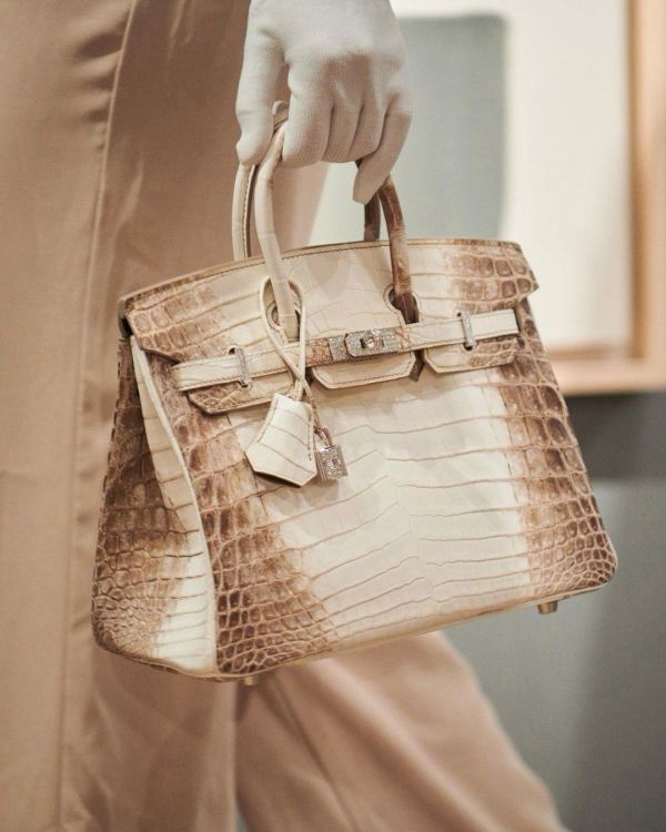 birkinHinh-anh-61