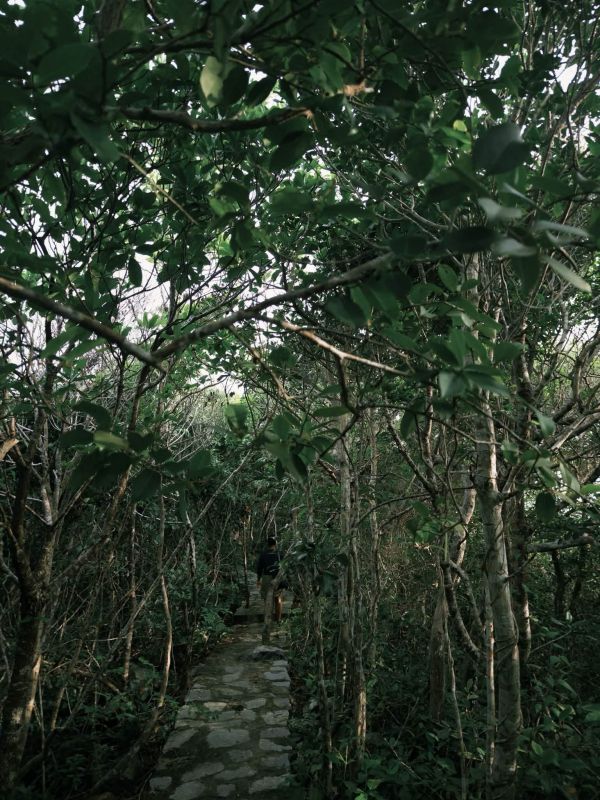 con-dao-IMG_7523