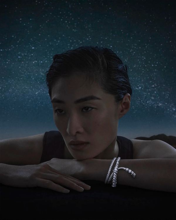 hermesHinh-anh-186