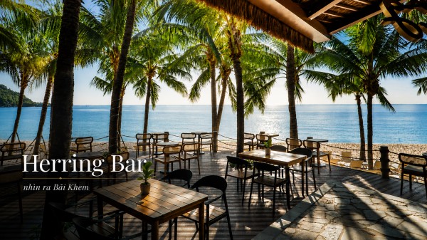 herring-bar-1