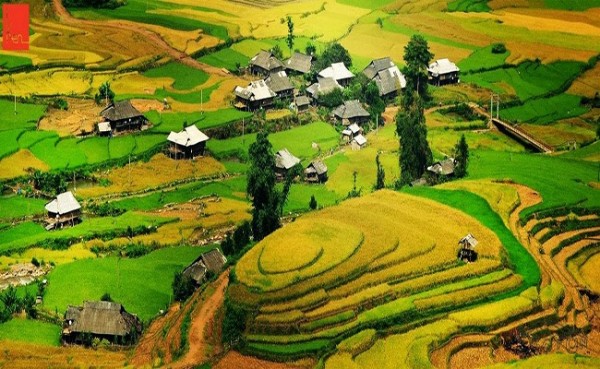 mu-cang-chaiHinh-anh-144