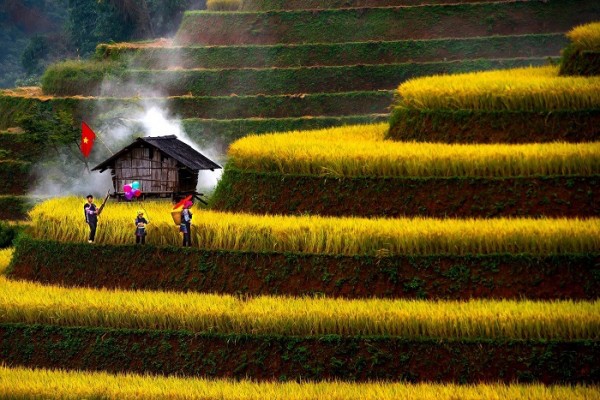 mu-cang-chaiHinh-anh-146