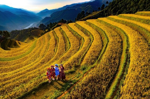 mu-cang-chaiHinh-anh-148