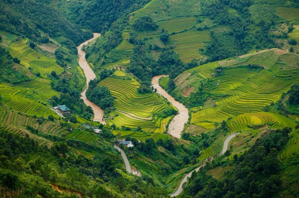 mu-cang-chaiHinh-anh-153