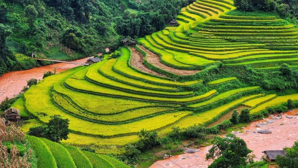 mu-cang-chaiHinh-anh-154