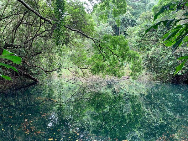 singaporeKeppel-Hill-Reservoir